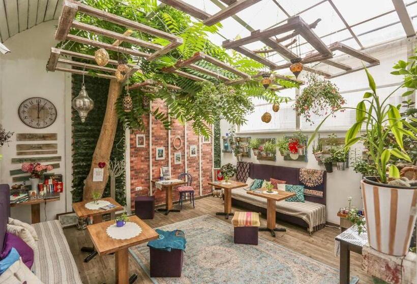 Fotos del hotel Eshe Boutique:  22