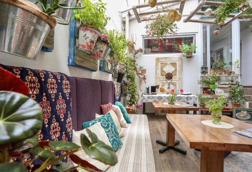 Fotos del hotel Eshe Boutique:  7