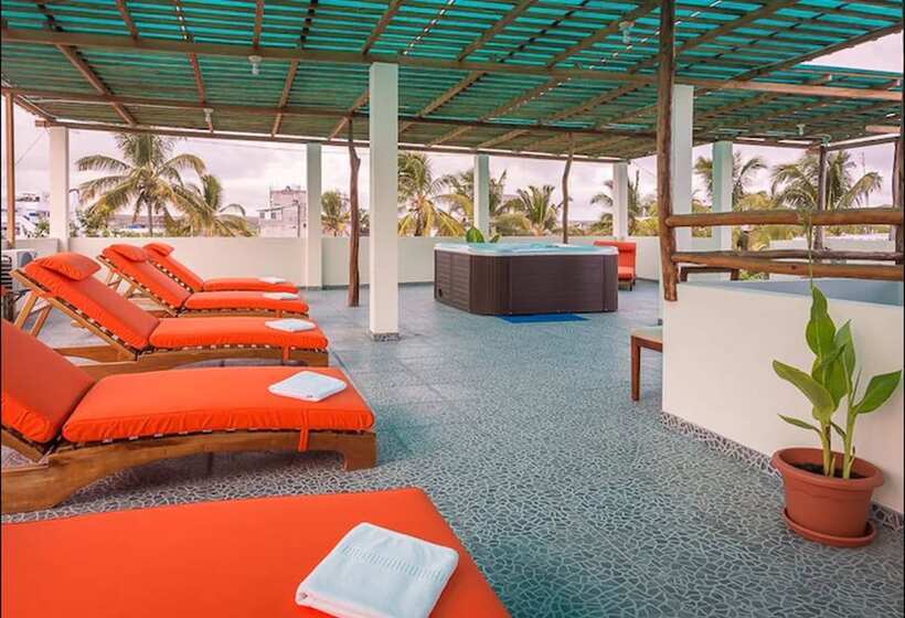 Fotos del hotel Flamingo:  35