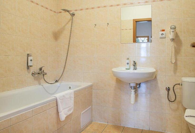 Fotos del hotel Pension Hattrick:  28