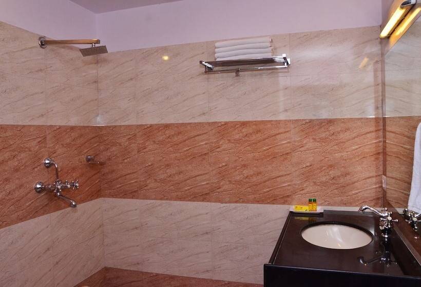 Fotos del hotel Raj Regency:  3