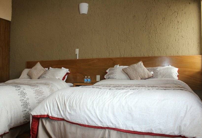 Fotos del hotel San Miguel:  29