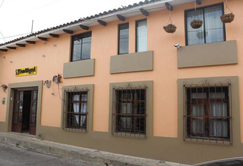 Fotos del hotel San Miguel:  16