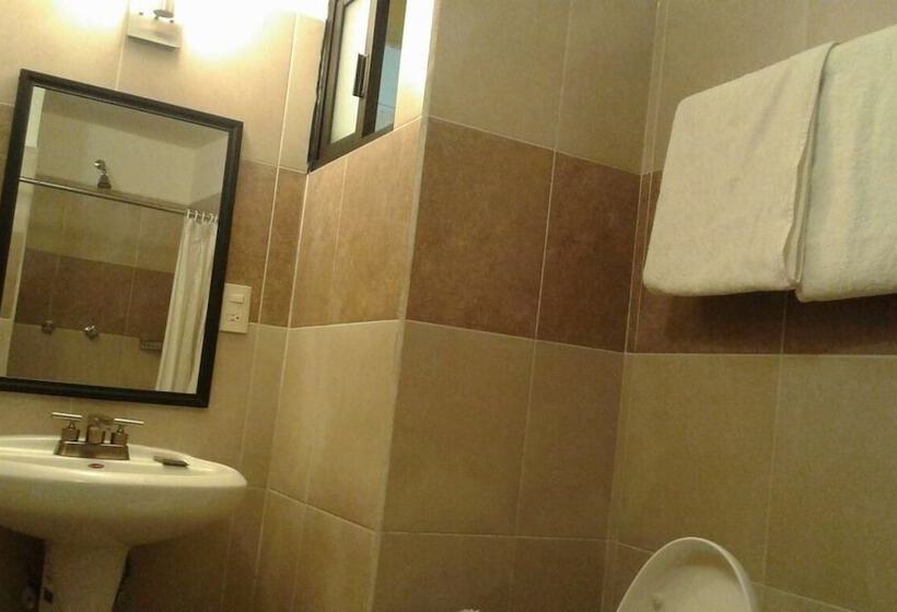 Fotos del hotel San Miguel:  8
