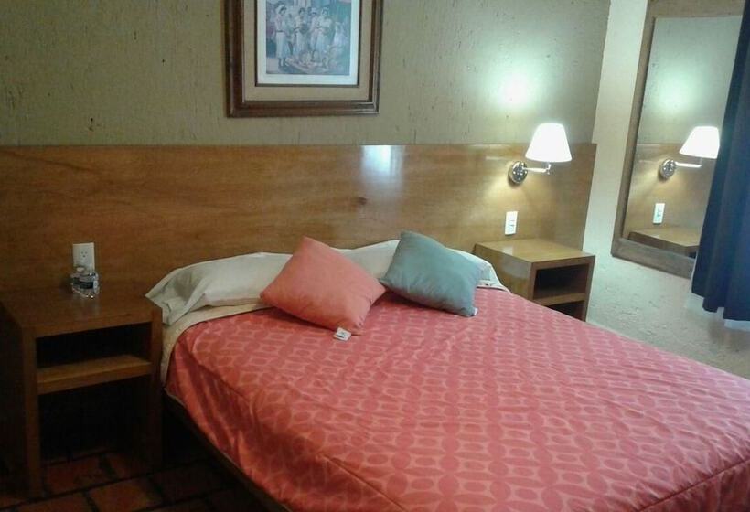 Fotos del hotel San Miguel:  4