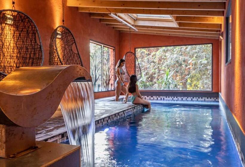 تختخواب و صبحانه Villa Hippocampe