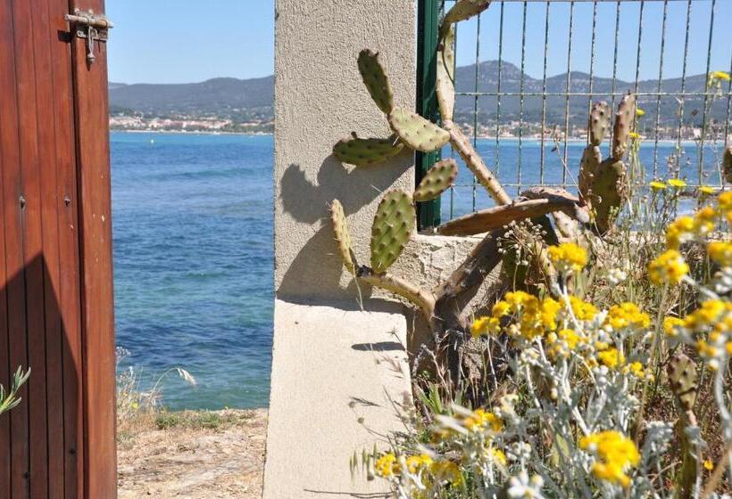 تختخواب و صبحانه Villa Hippocampe