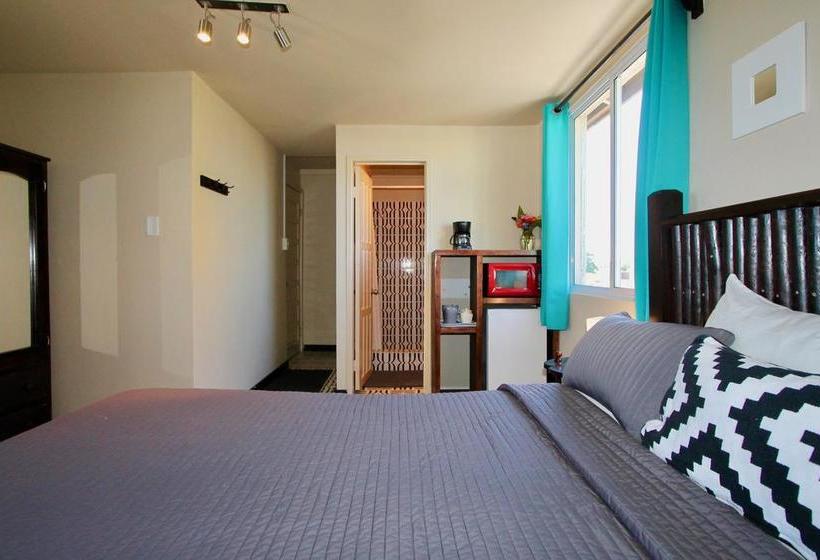 הוסטל Parham Plaza