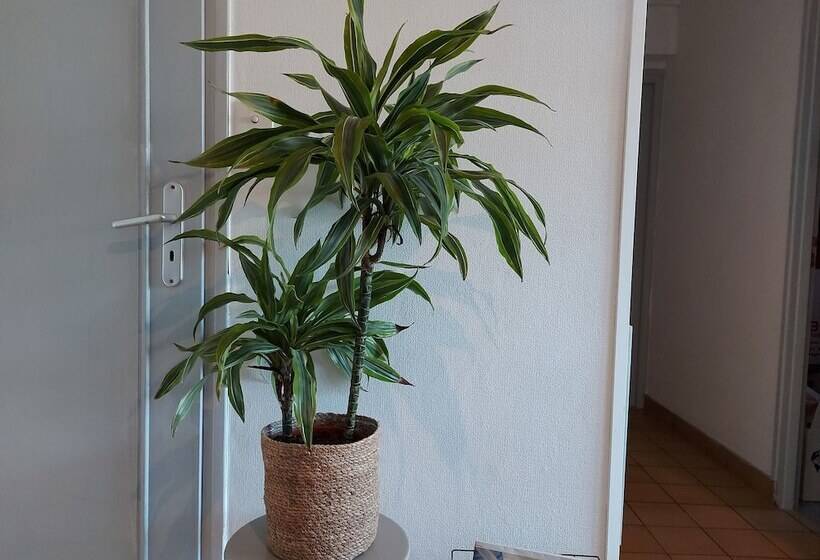 酒店 Logis Hôtel Vannes Nord Le Clos Des Hortensias