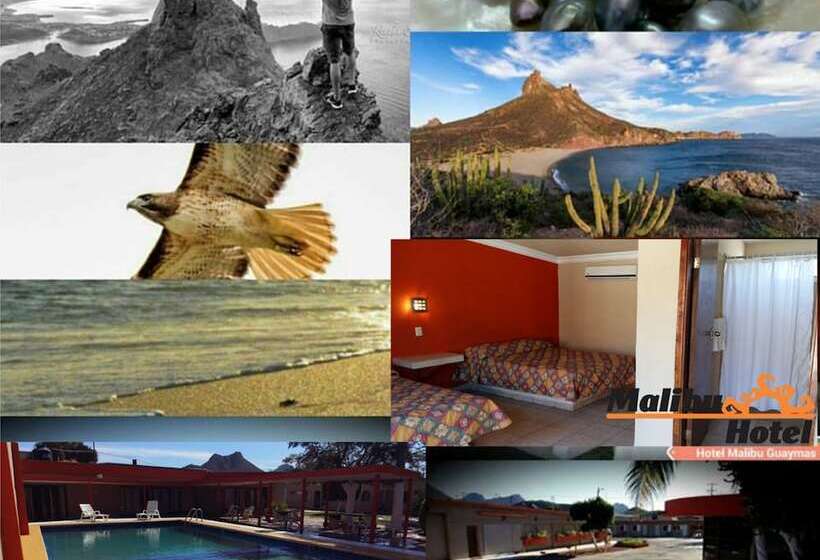 هتل Malibu Guaymas