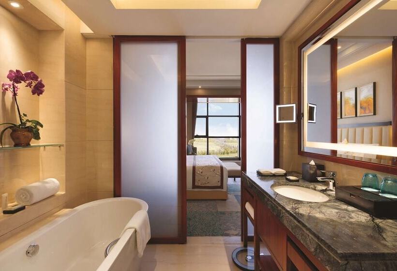 هتل Wyndham Urumqi North