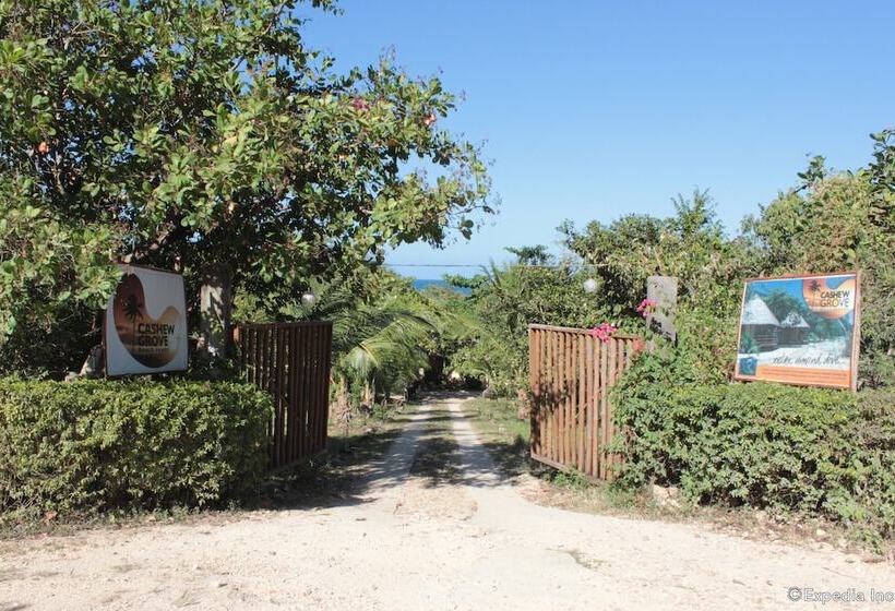 تختخواب و صبحانه Cashew Grove Beach Resort