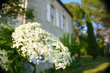 تختخواب و صبحانه Domaine De La Brette Chambres D Hôtes
