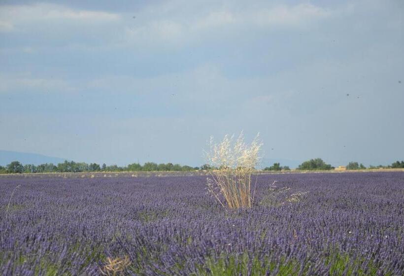 تختخواب و صبحانه Les Terrasses De Valensole