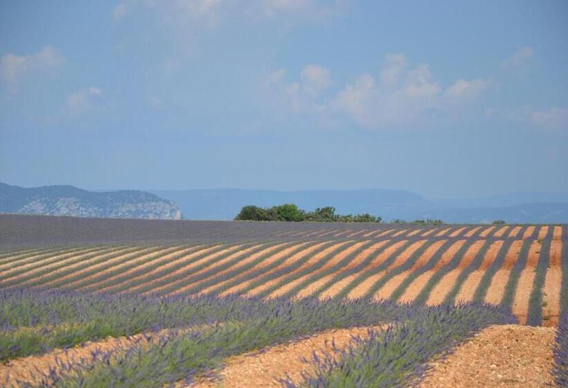 تختخواب و صبحانه Les Terrasses De Valensole