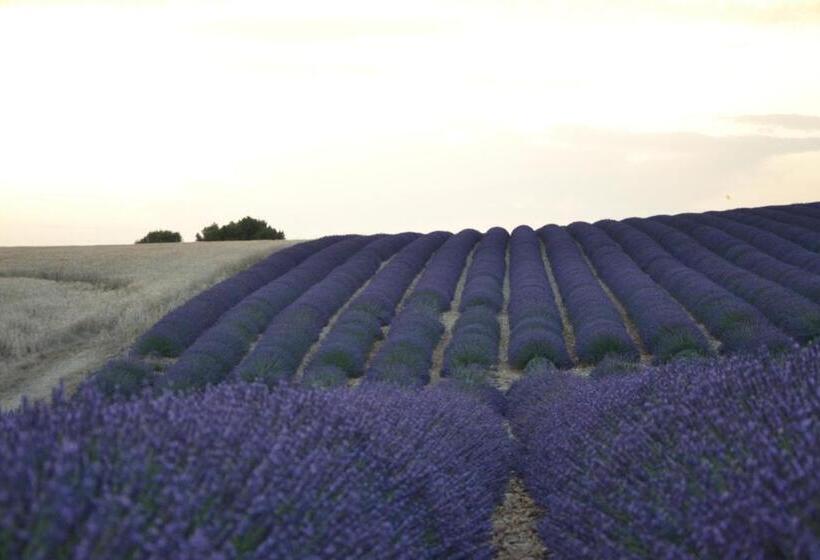 تختخواب و صبحانه Les Terrasses De Valensole