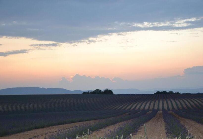 تختخواب و صبحانه Les Terrasses De Valensole