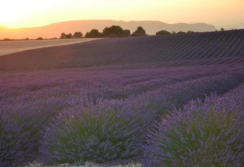 تختخواب و صبحانه Les Terrasses De Valensole