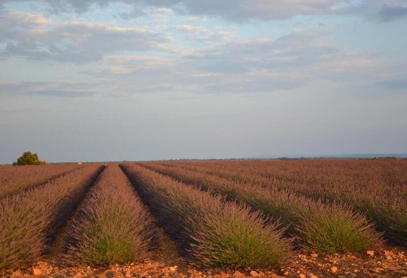 تختخواب و صبحانه Les Terrasses De Valensole