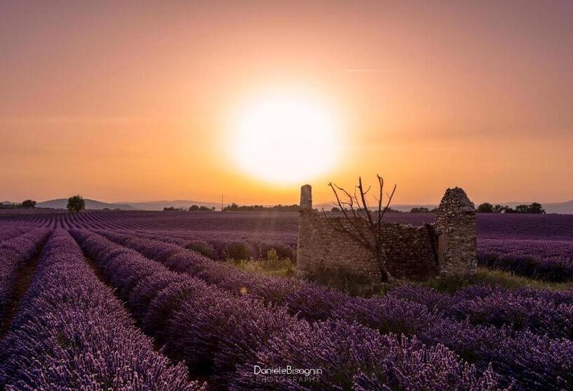 تختخواب و صبحانه Les Terrasses De Valensole