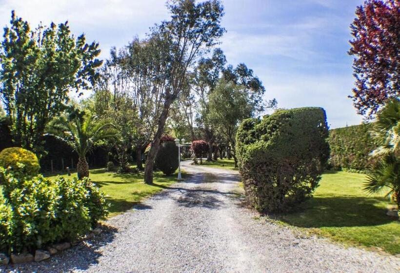 تختخواب و صبحانه Villa Yoda