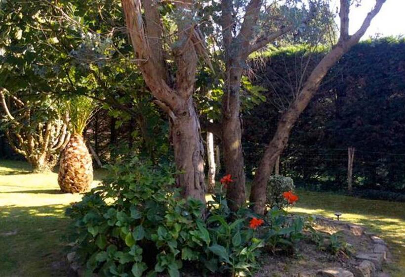 تختخواب و صبحانه Villa Yoda