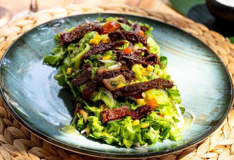 مسافرخانه Dreamer Palomino