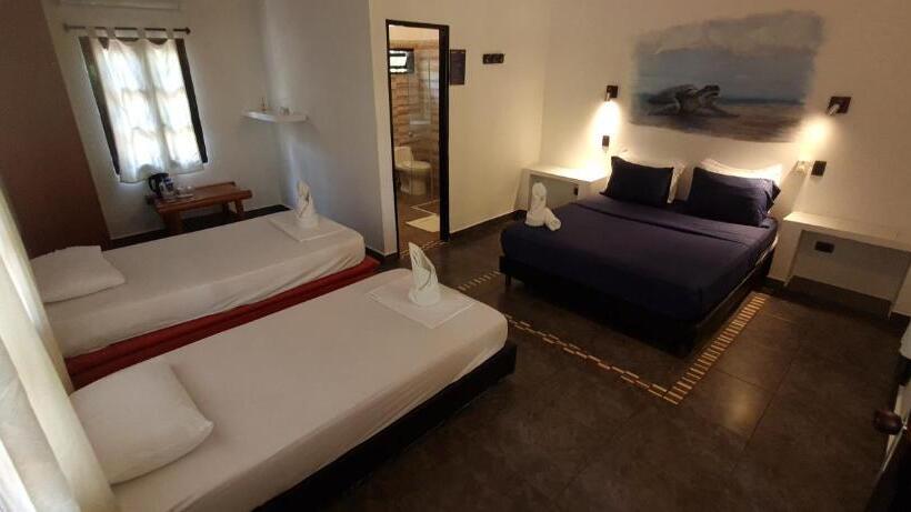 مسافرخانه Dreamer Palomino