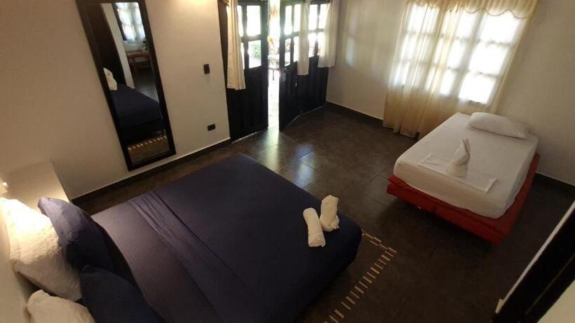 مسافرخانه Dreamer Palomino