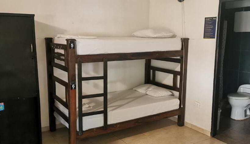 مسافرخانه Dreamer Palomino