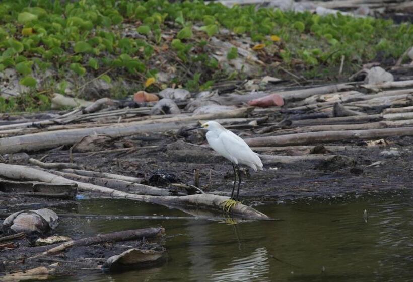 هتل Aite Eco Resort