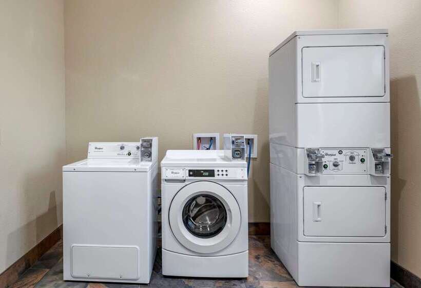 فندق Comfort Suites University