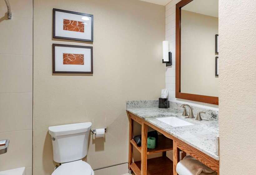 فندق Comfort Suites University