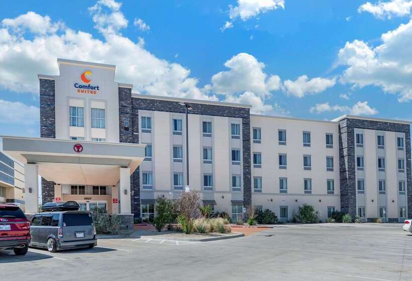 فندق Comfort Suites University