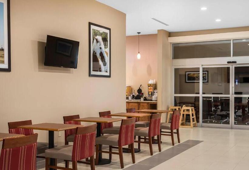 فندق Comfort Suites University