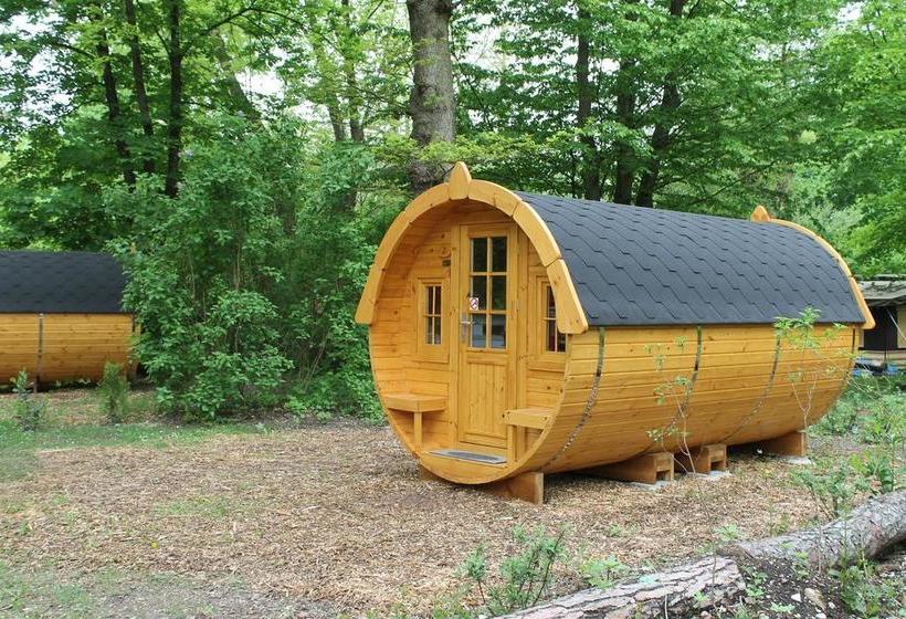 리조트 Azur Waldcamping Auwaldsee