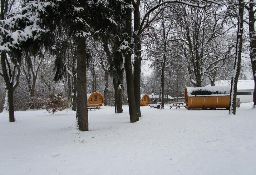 리조트 Azur Waldcamping Auwaldsee