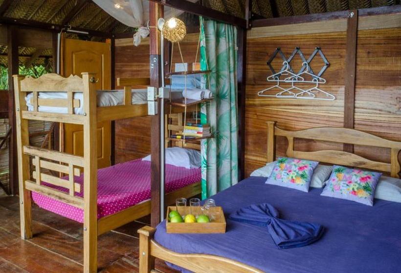 تختخواب و صبحانه Colibri Hostal Minca Santa Marta