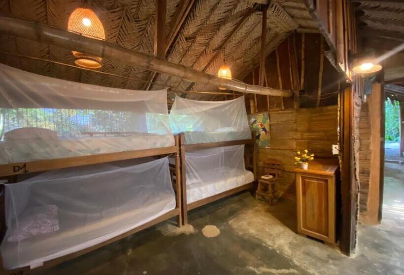 تختخواب و صبحانه Colibri Hostal Minca Santa Marta