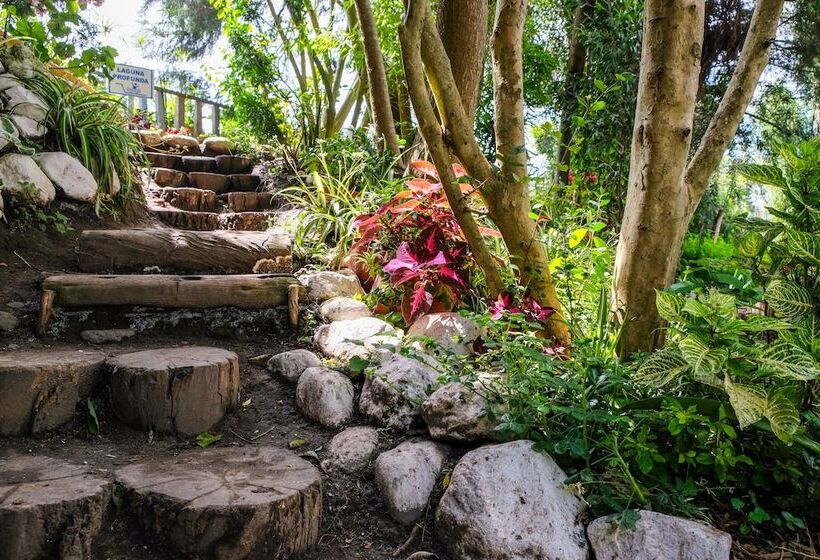 مسافرخانه Hosteria Colibri Aeropuerto