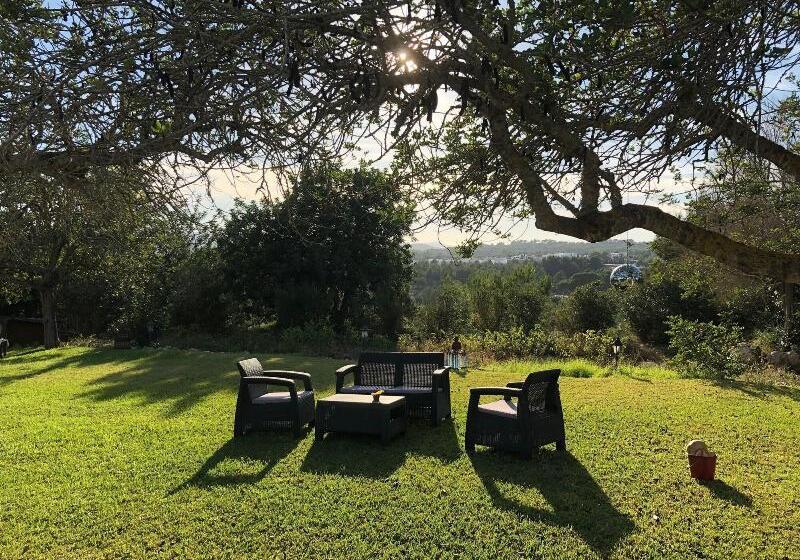 هتل Agroturismo Can Marquet   Adults Only