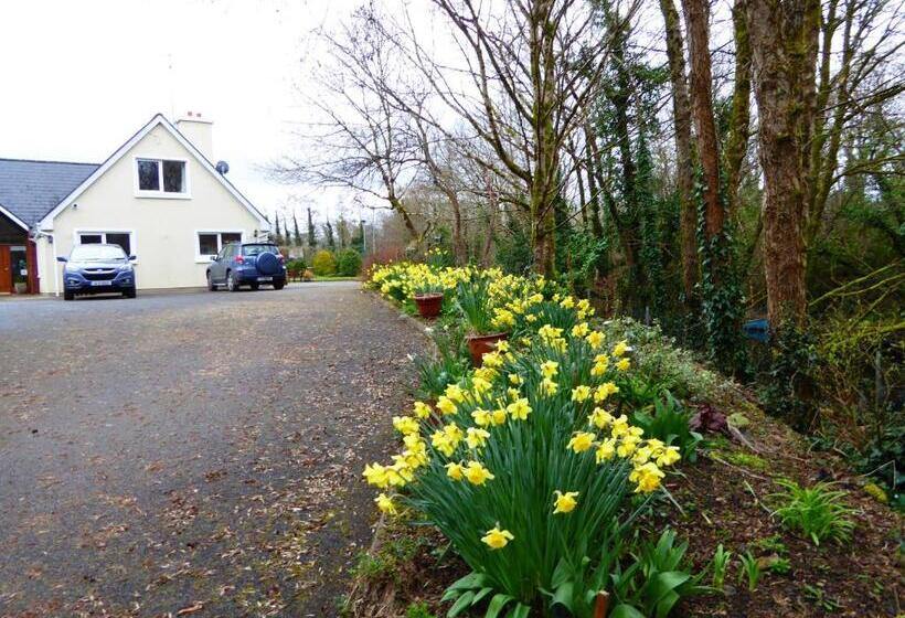 هتل Camillaun Lodge With Lough Corrib Boat Hire
