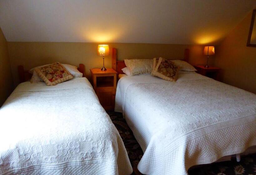 هتل Camillaun Lodge With Lough Corrib Boat Hire