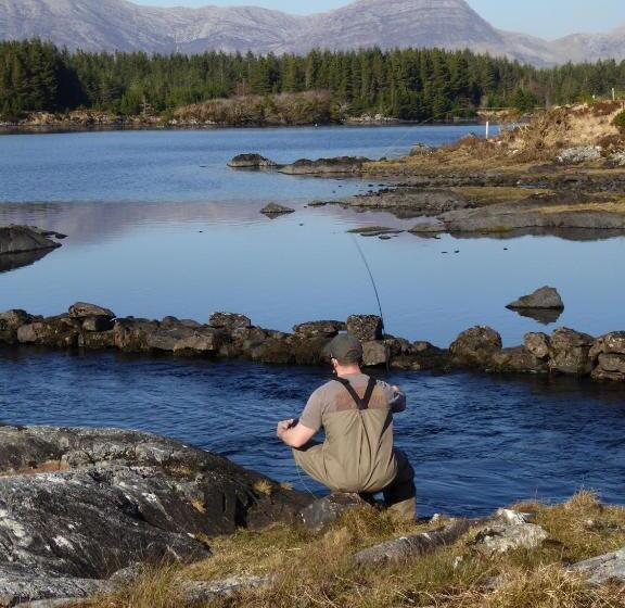 هتل Camillaun Lodge With Lough Corrib Boat Hire