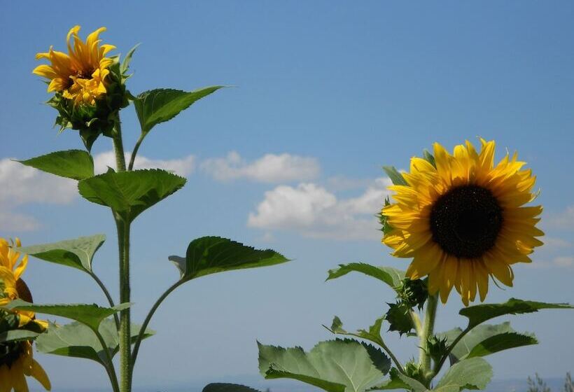هتل Country House La Meridiana Strana