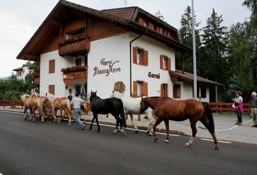 בית מלון כפרי Garni Biancaneve Ruffrè Mendola