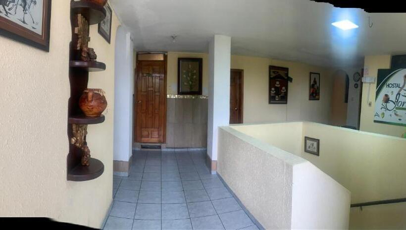 فندق Hostal Jora Continental
