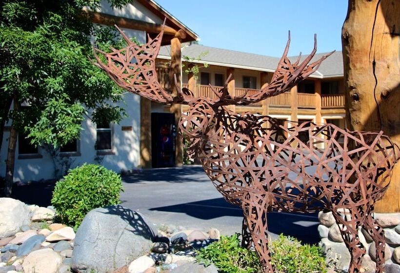 هتل Moose Creek Lodge & Suites