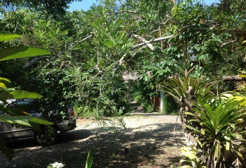 هتل Samai Lodge Holistic Living