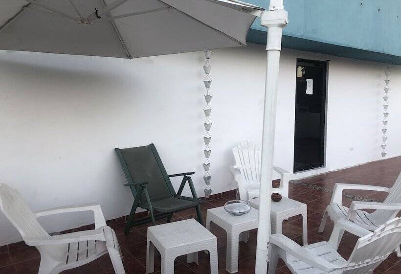 Fotos del hotel Señorial:  7